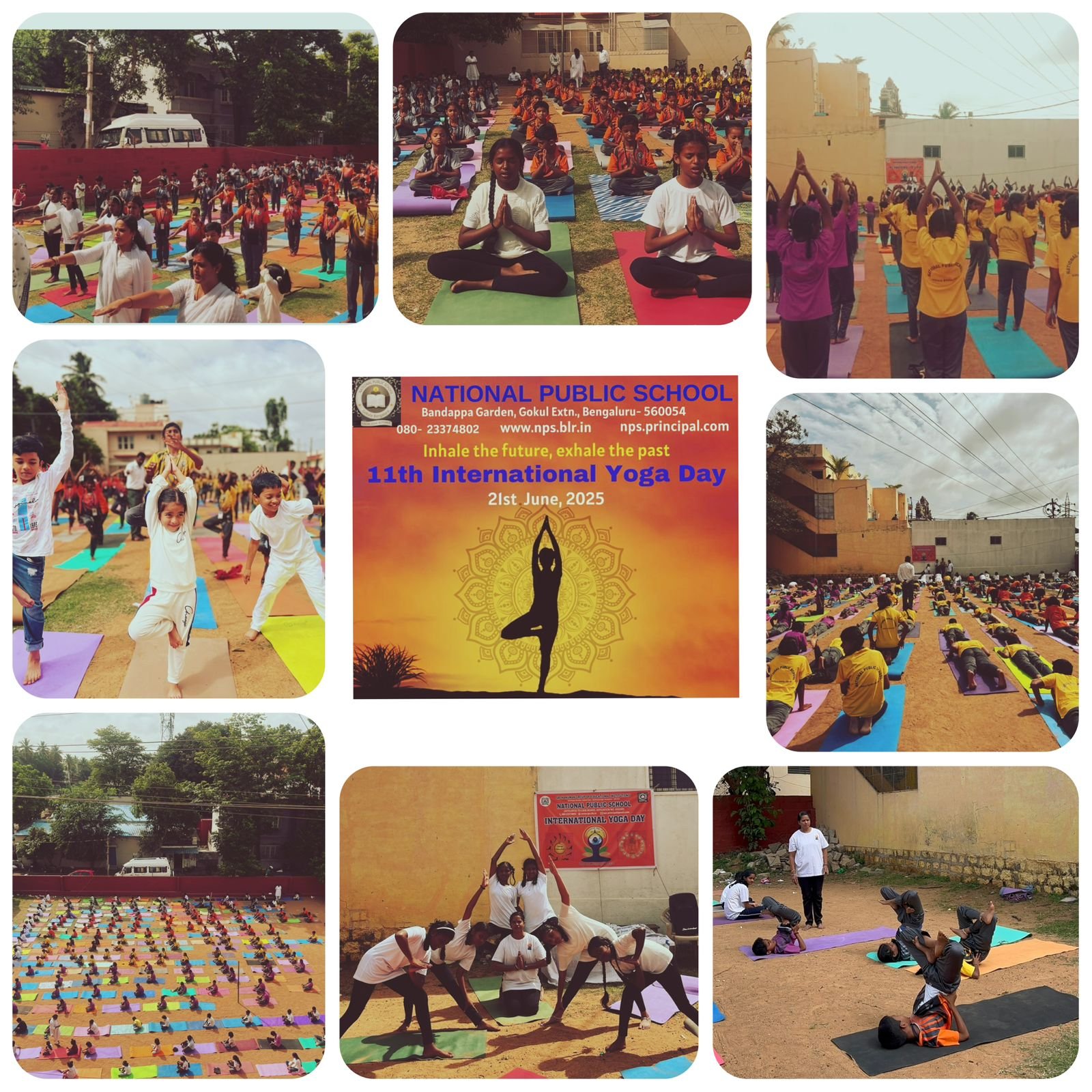 WhatsApp Image 2025-07-24 at 16.40.26_0b1649c6